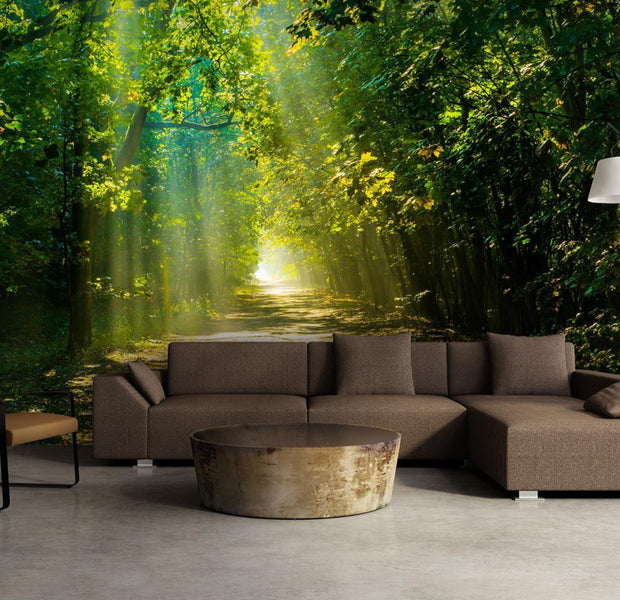 Wall mural - Road in Sunlight-TipTopHomeDecor