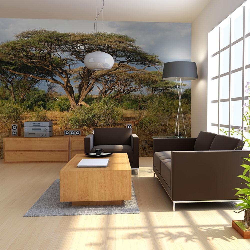 Wall mural - Samburu National Reserve, Kenya-TipTopHomeDecor