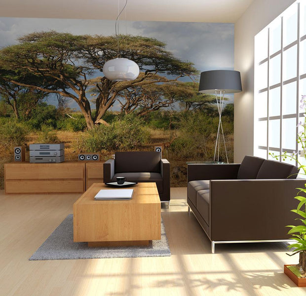 Wall mural - Samburu National Reserve, Kenya-TipTopHomeDecor