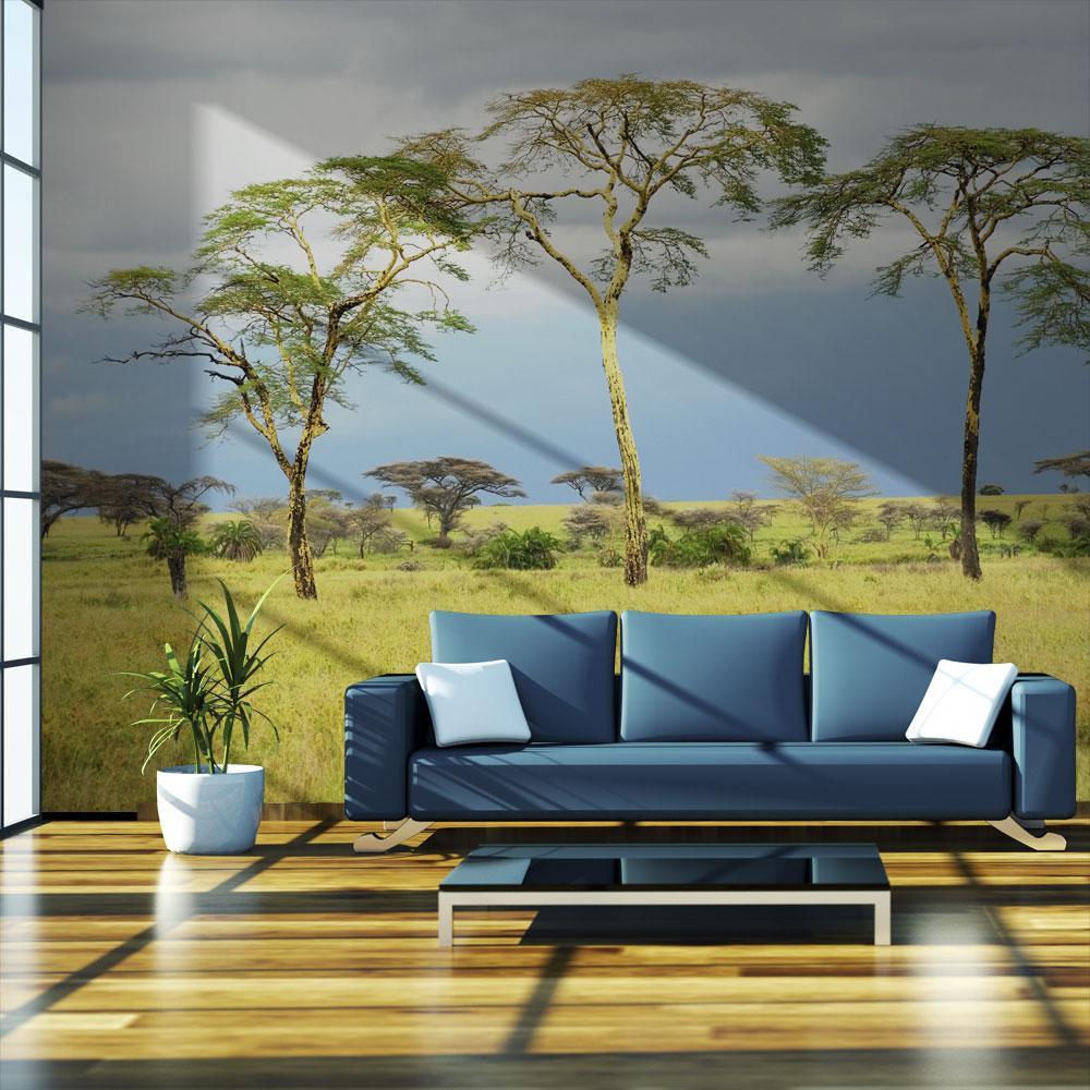 Wall mural - Savanna trees-TipTopHomeDecor