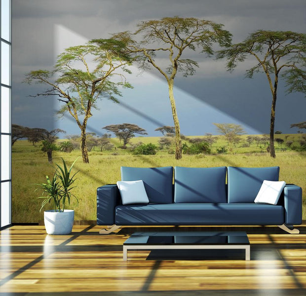 Wall mural - Savanna trees-TipTopHomeDecor