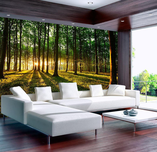Wall mural - Spring: Morning in the Forest-TipTopHomeDecor