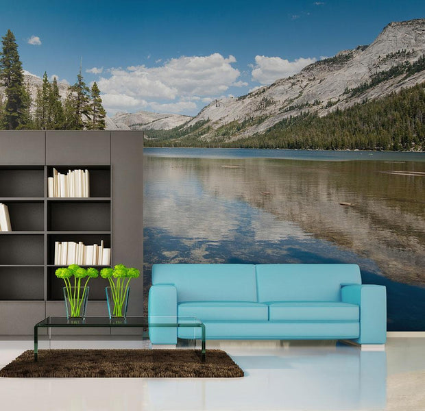 Wall mural - Tenaya Lake - Yosemite National Park-TipTopHomeDecor
