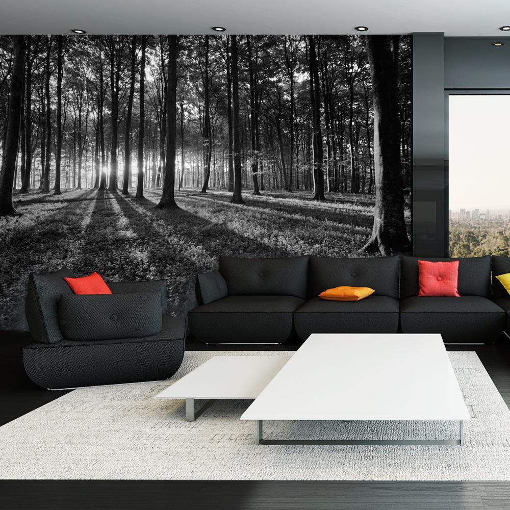 Wall mural - The Light in the Forest-TipTopHomeDecor