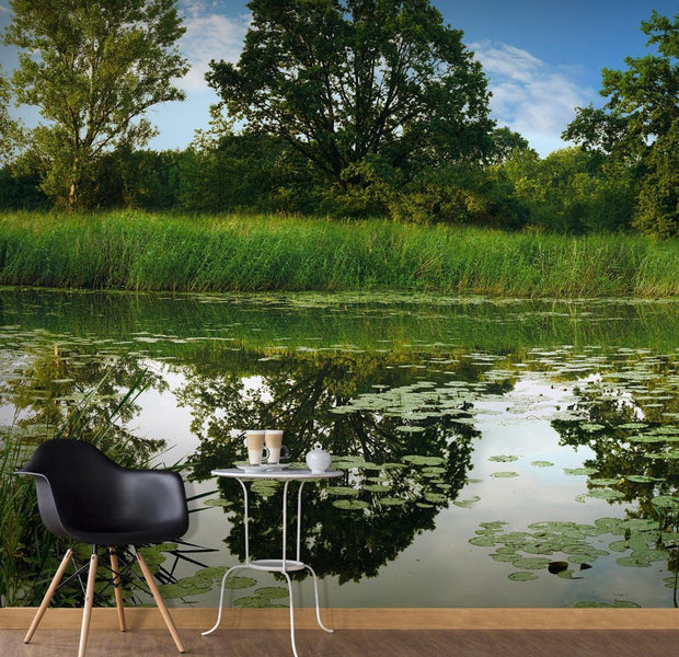 Wall mural - The Magic Pond-TipTopHomeDecor