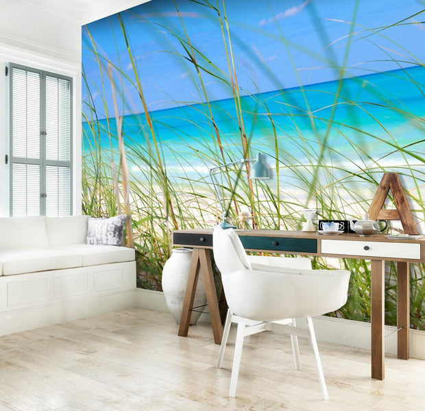 Wall mural - Tropical journey-TipTopHomeDecor