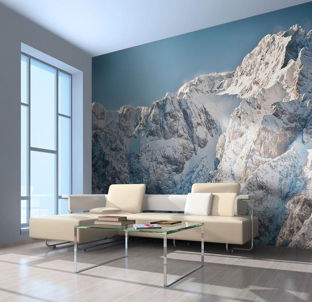 Wall mural - Winter in the Alps-TipTopHomeDecor