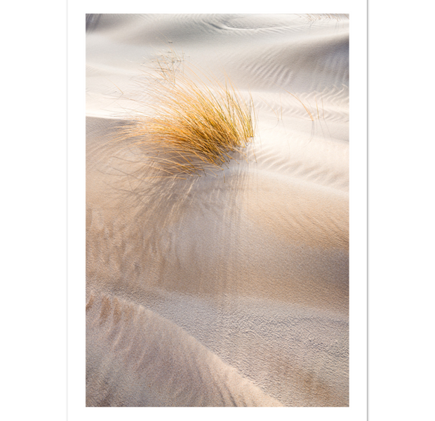 Sand Dunes Landscape Poster