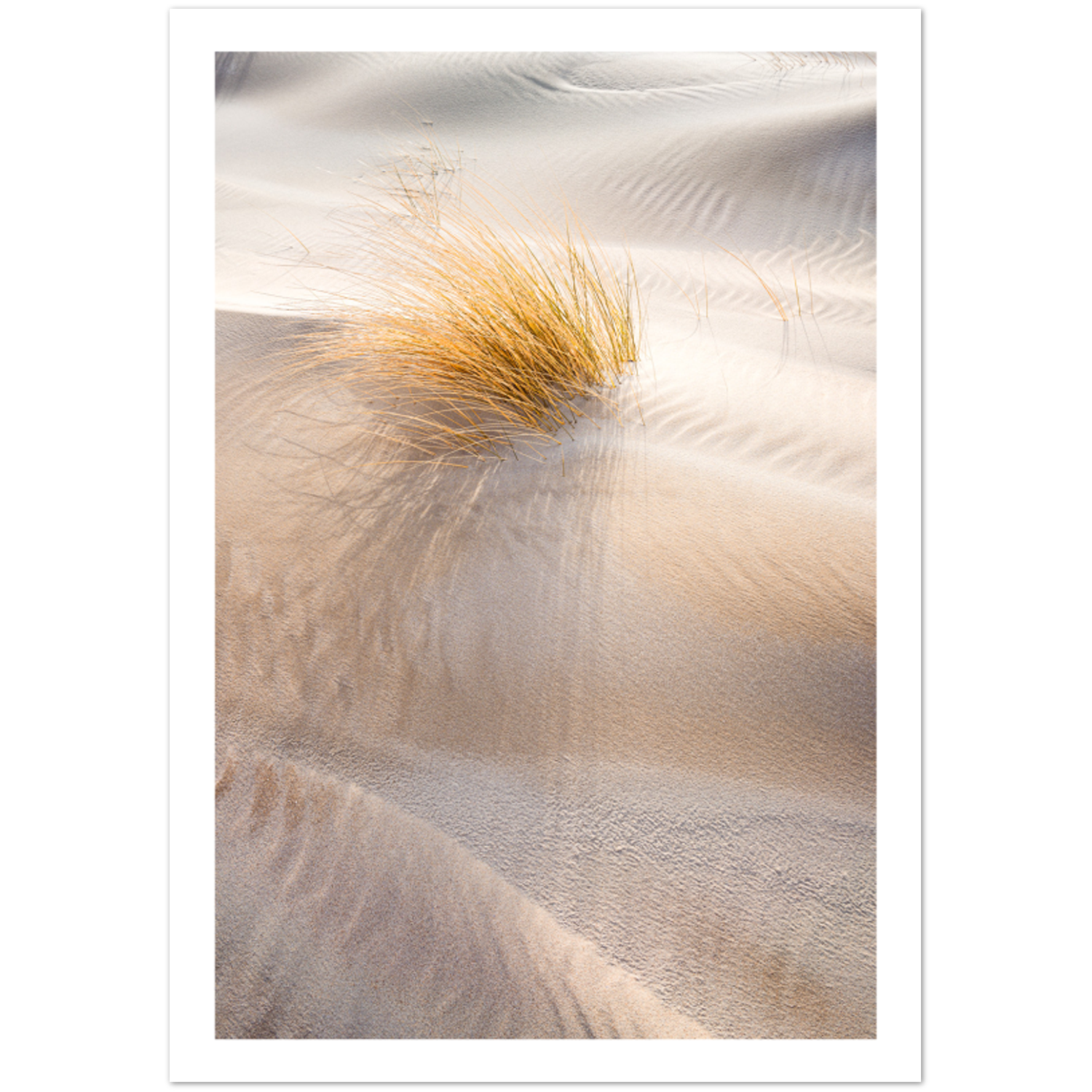 Sand Dunes Landscape Poster