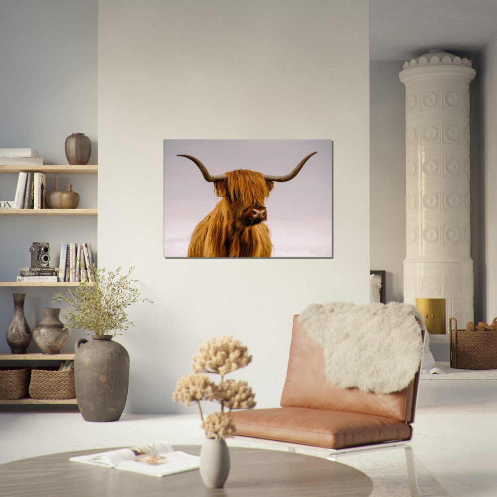 Stretched Canvas Animal Art - Highland Cow