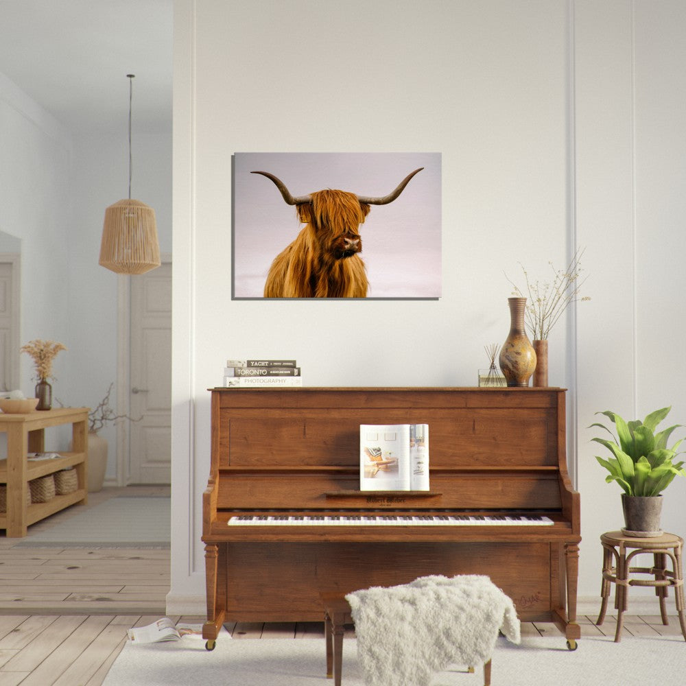 Stretched Canvas Animal Art - Highland Cow