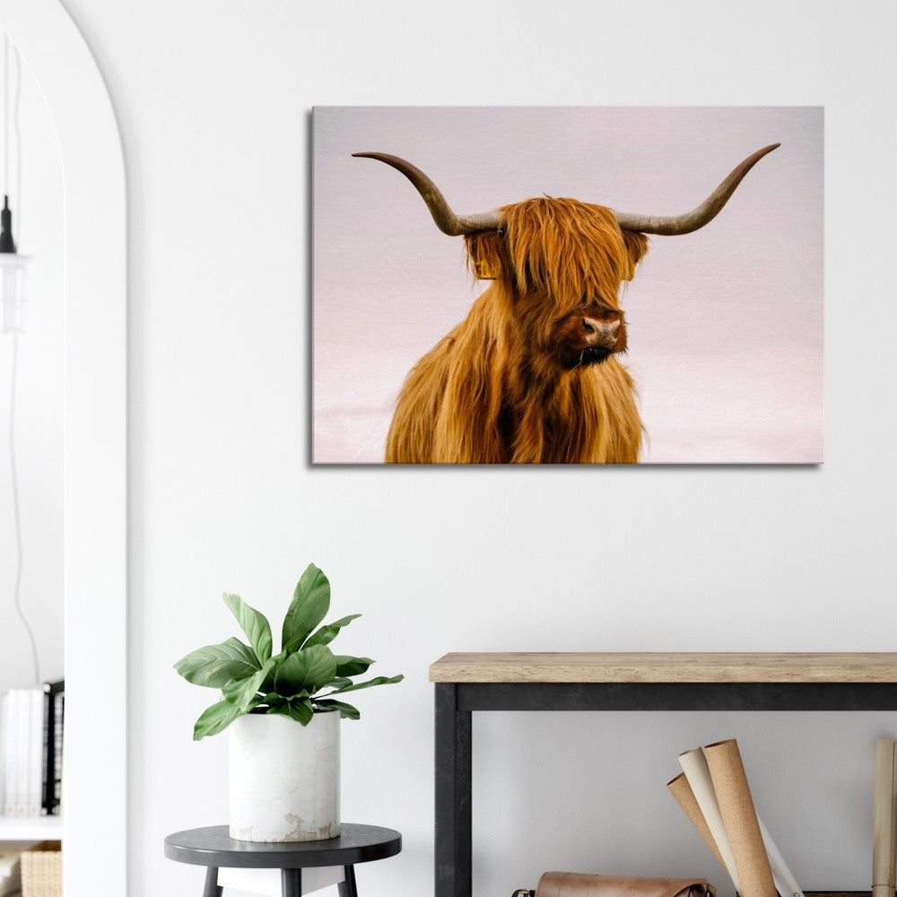 Stretched Canvas Animal Art - Highland Cow