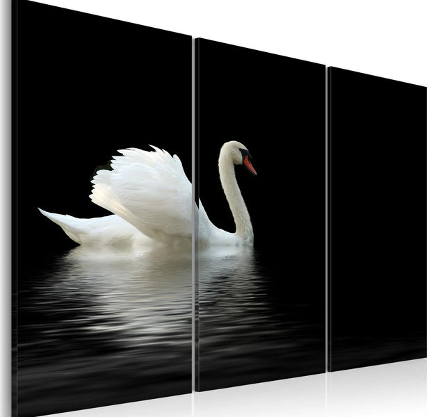 Stretched Canvas Animal Art - A Lonely White Swan-Tiptophomedecor