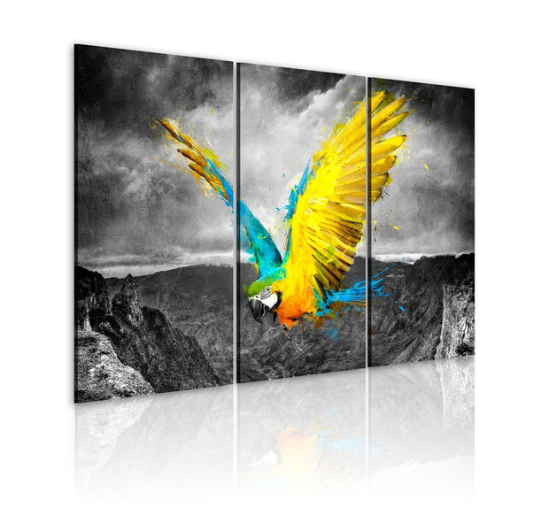 Stretched Canvas Animal Art - Bird-Of-Paradise-Tiptophomedecor
