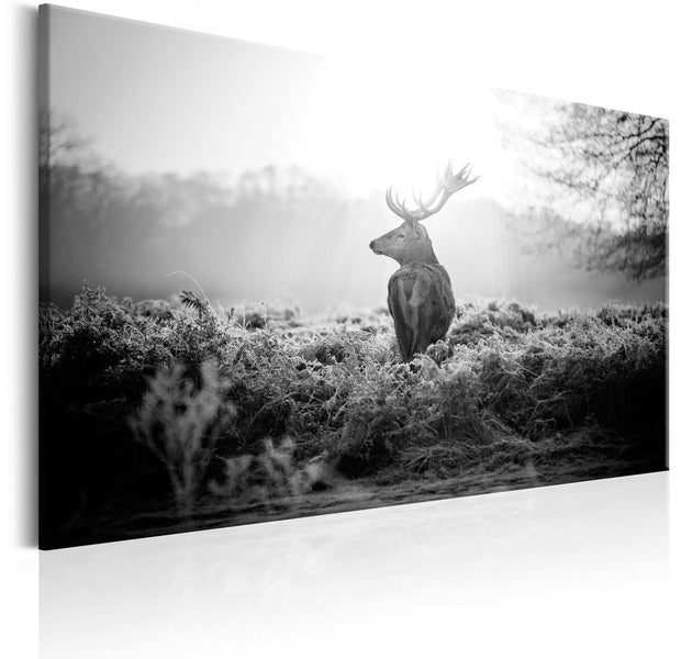 Stretched Canvas Animal Art - Black And White Deer-Tiptophomedecor