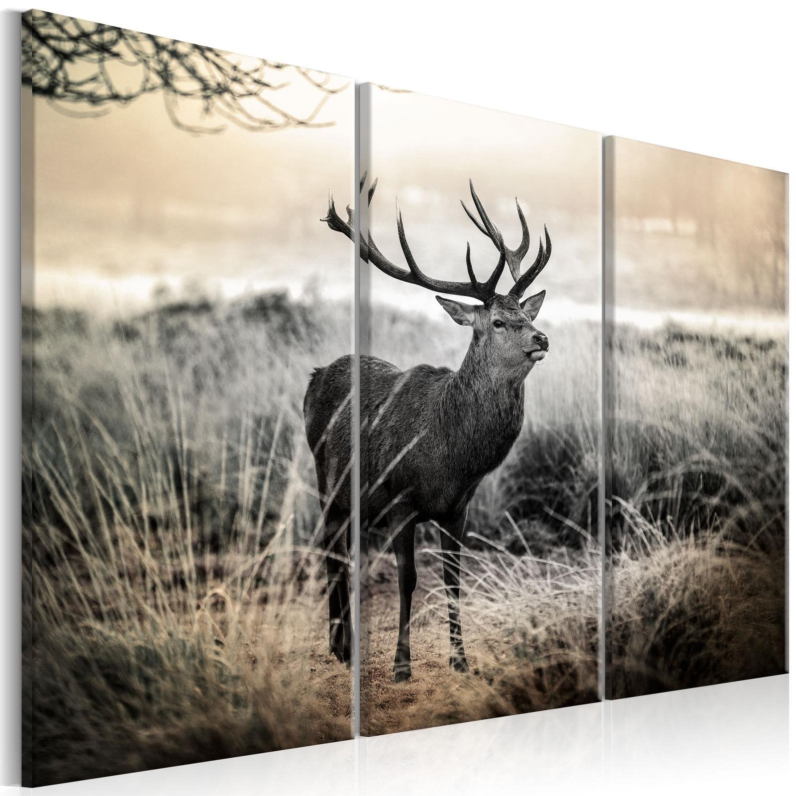 Stretched Canvas Animal Art - Dangerous Horns I-Tiptophomedecor