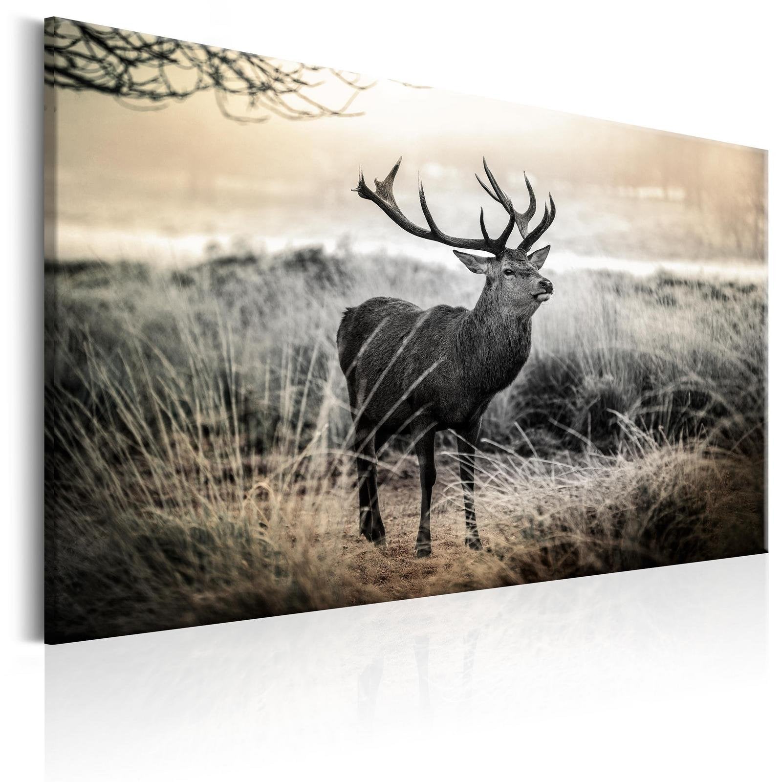 Stretched Canvas Animal Art - Dangerous Horns-Tiptophomedecor