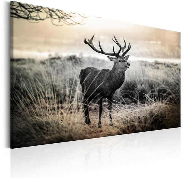 Stretched Canvas Animal Art - Dangerous Horns-Tiptophomedecor