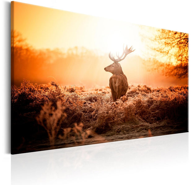 Stretched Canvas Animal Art - Deer In The Sun-Tiptophomedecor