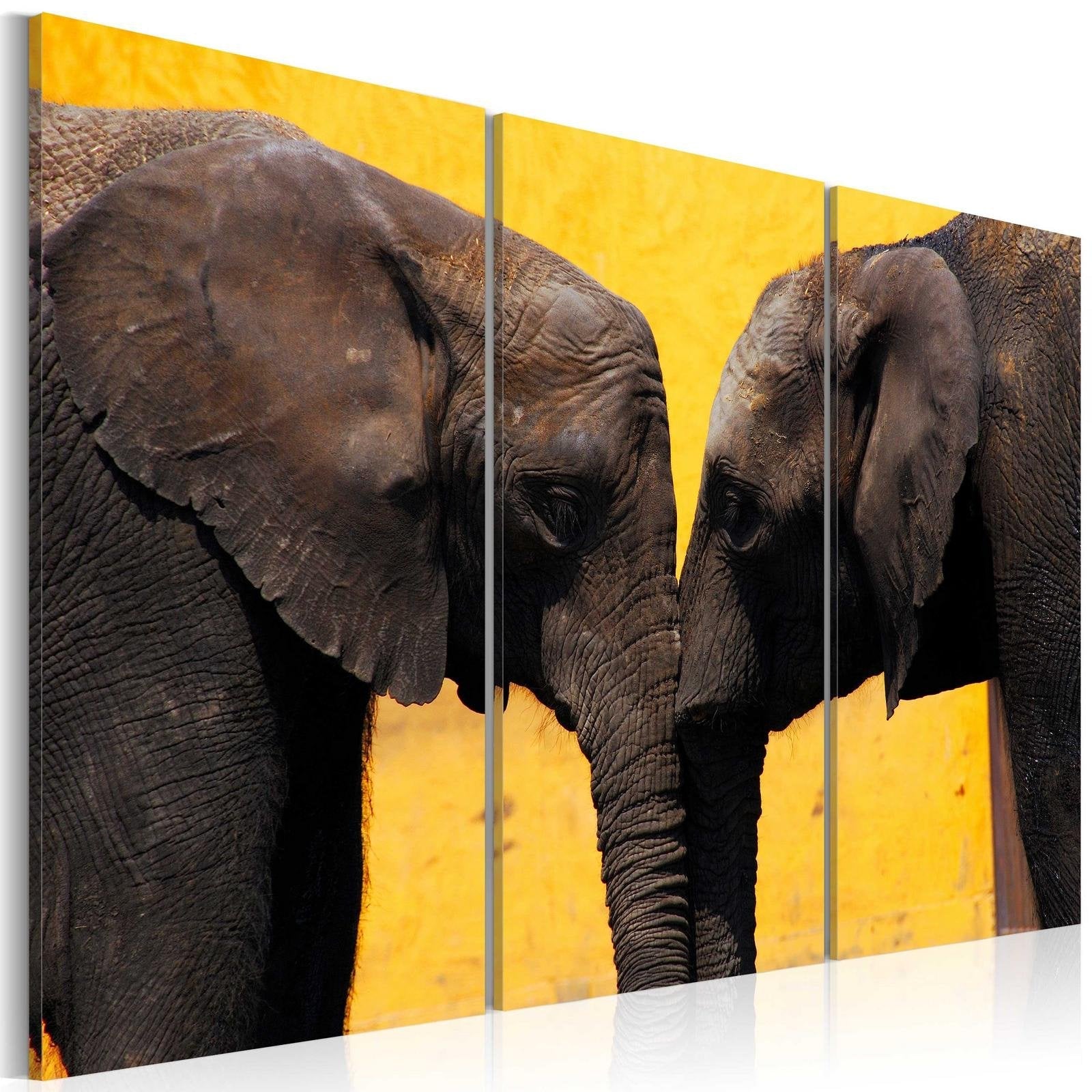 Stretched Canvas Animal Art - Elephant Kiss-Tiptophomedecor