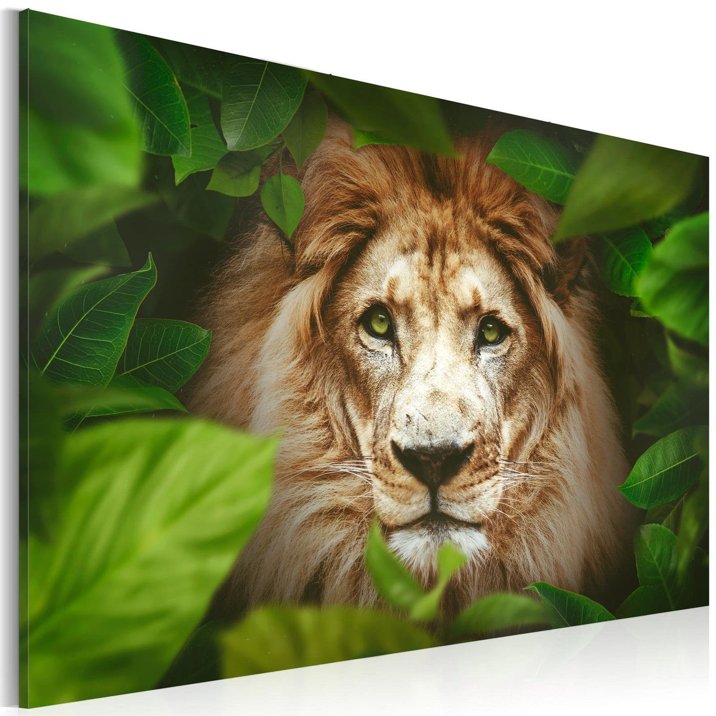 Stretched Canvas Animal Art - Eyes Of The Jungle-Tiptophomedecor
