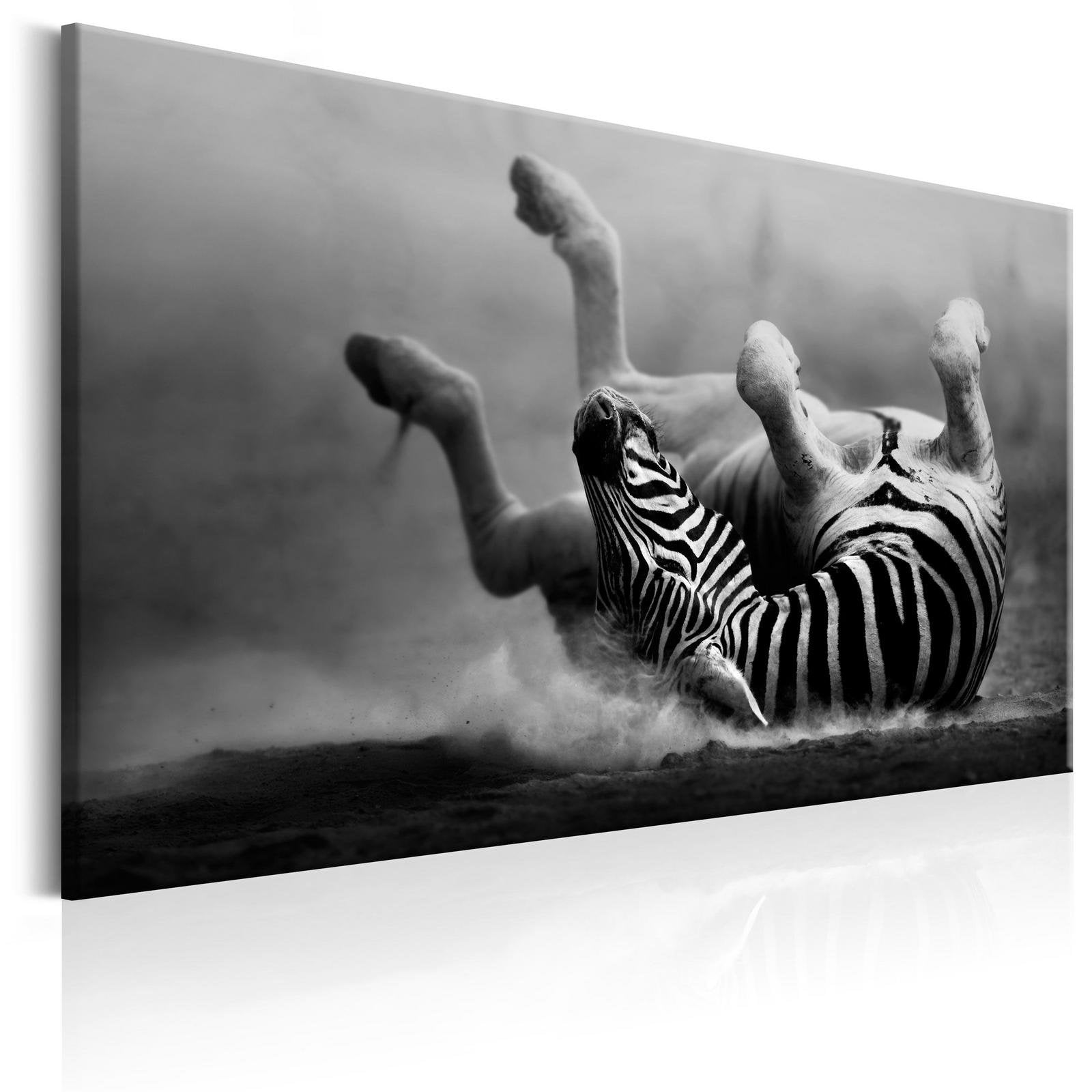Stretched Canvas Animal Art - Fun In The Dust-Tiptophomedecor