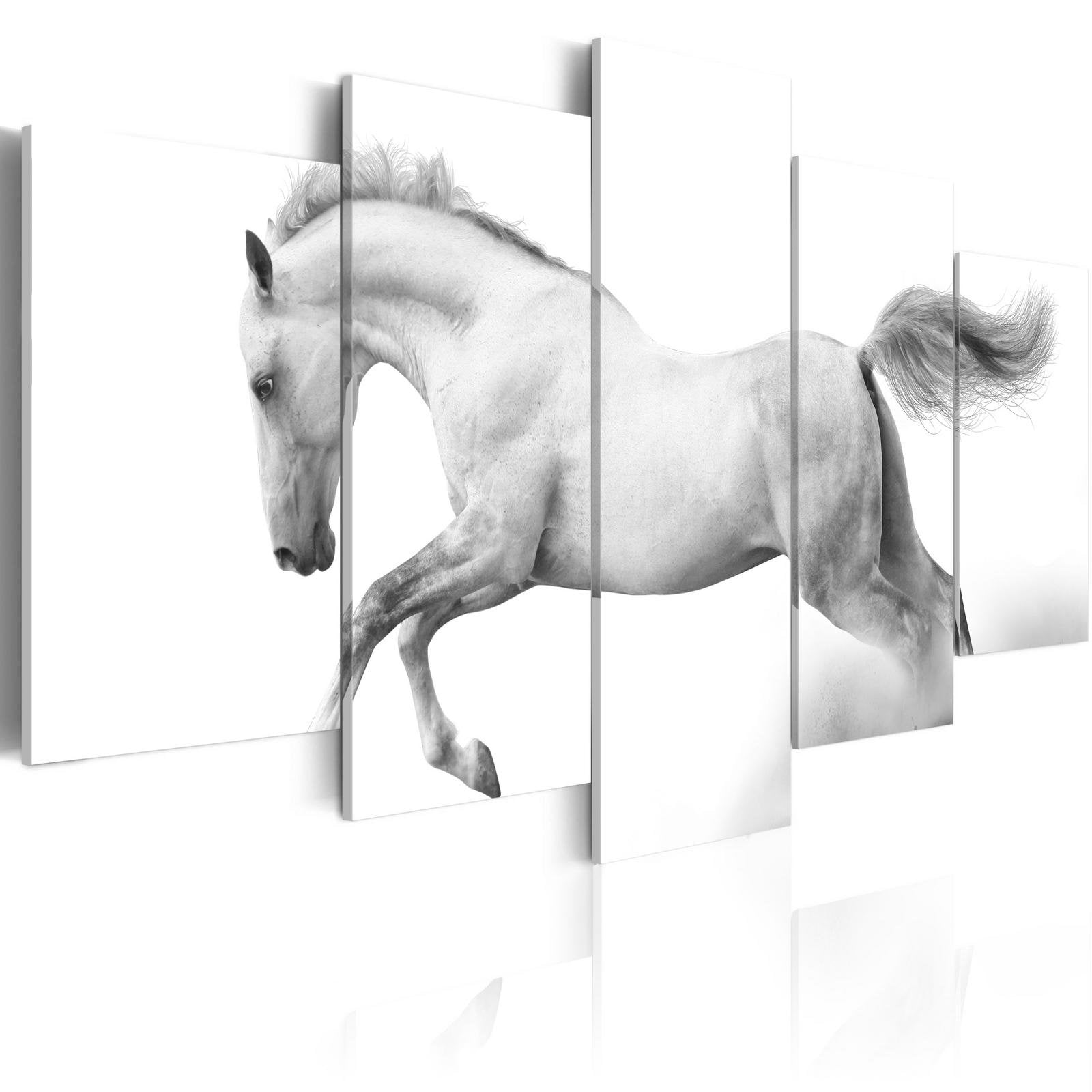 Stretched Canvas Animal Art - Horse- Passion And Freedom-Tiptophomedecor