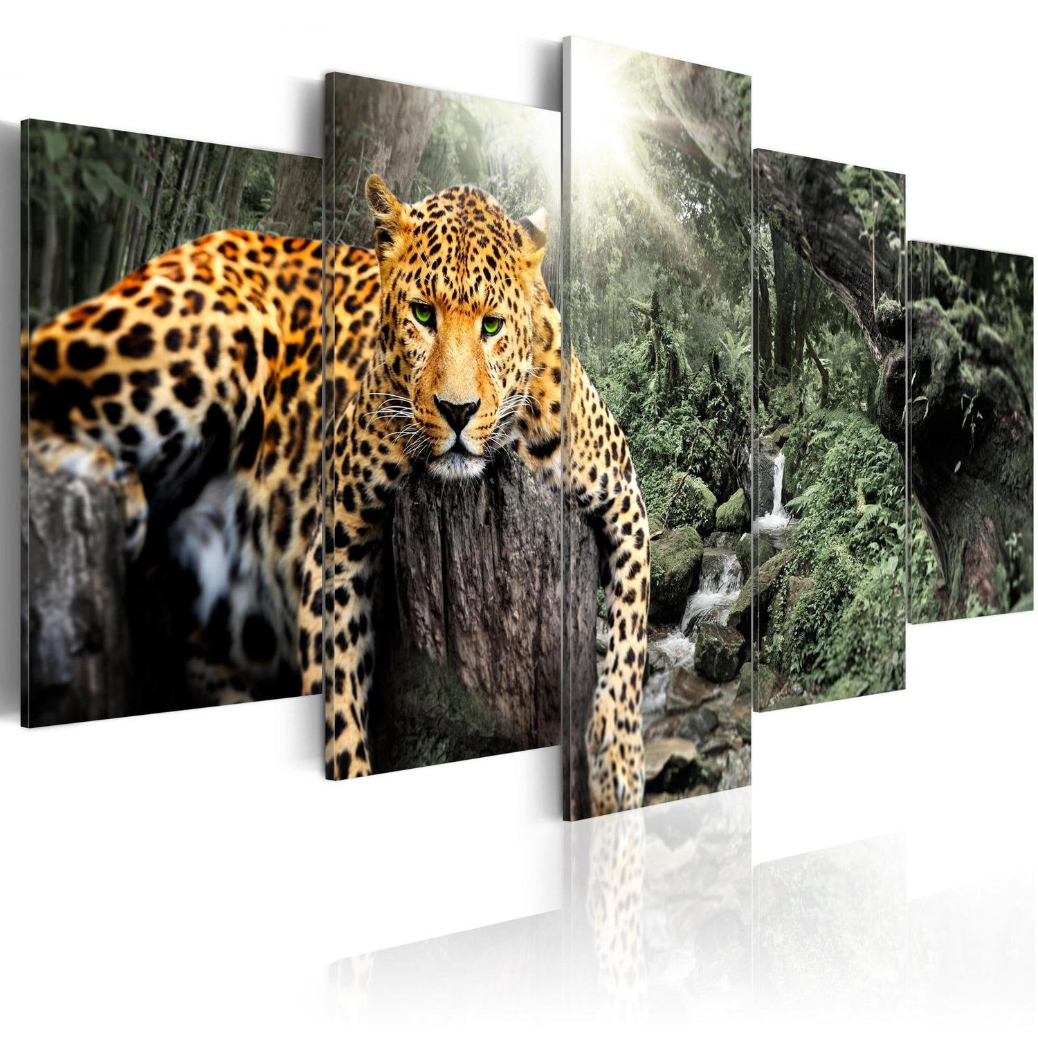 Stretched Canvas Animal Art - Lazy Afternoon-Tiptophomedecor