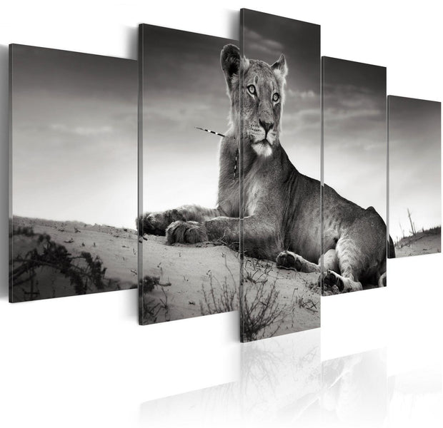 Stretched Canvas Animal Art - Lioness In A Desert-Tiptophomedecor