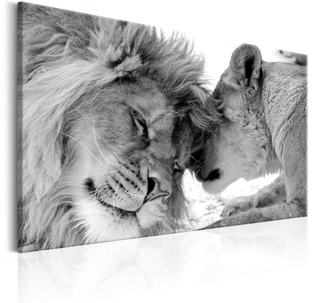 Stretched Canvas Animal Art - Lion'S Love-Tiptophomedecor