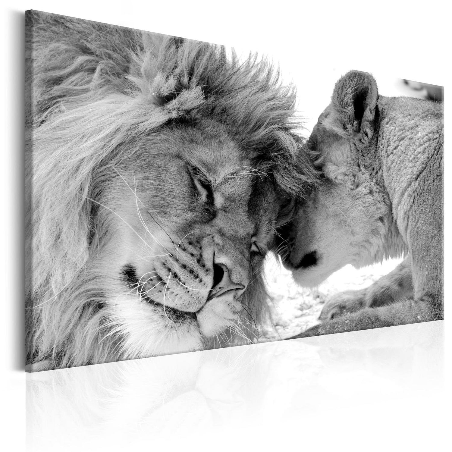 Stretched Canvas Animal Art - Lion'S Love-Tiptophomedecor
