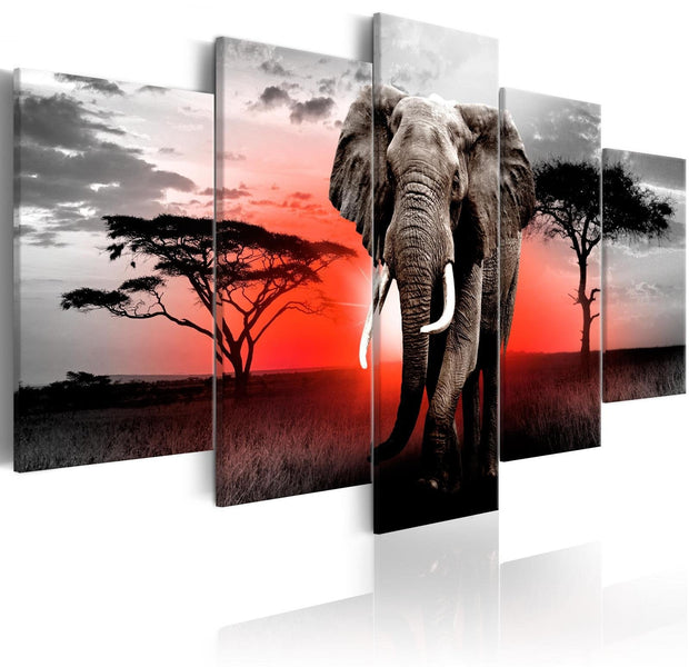 Stretched Canvas Animal Art - Lonely Elephant-Tiptophomedecor