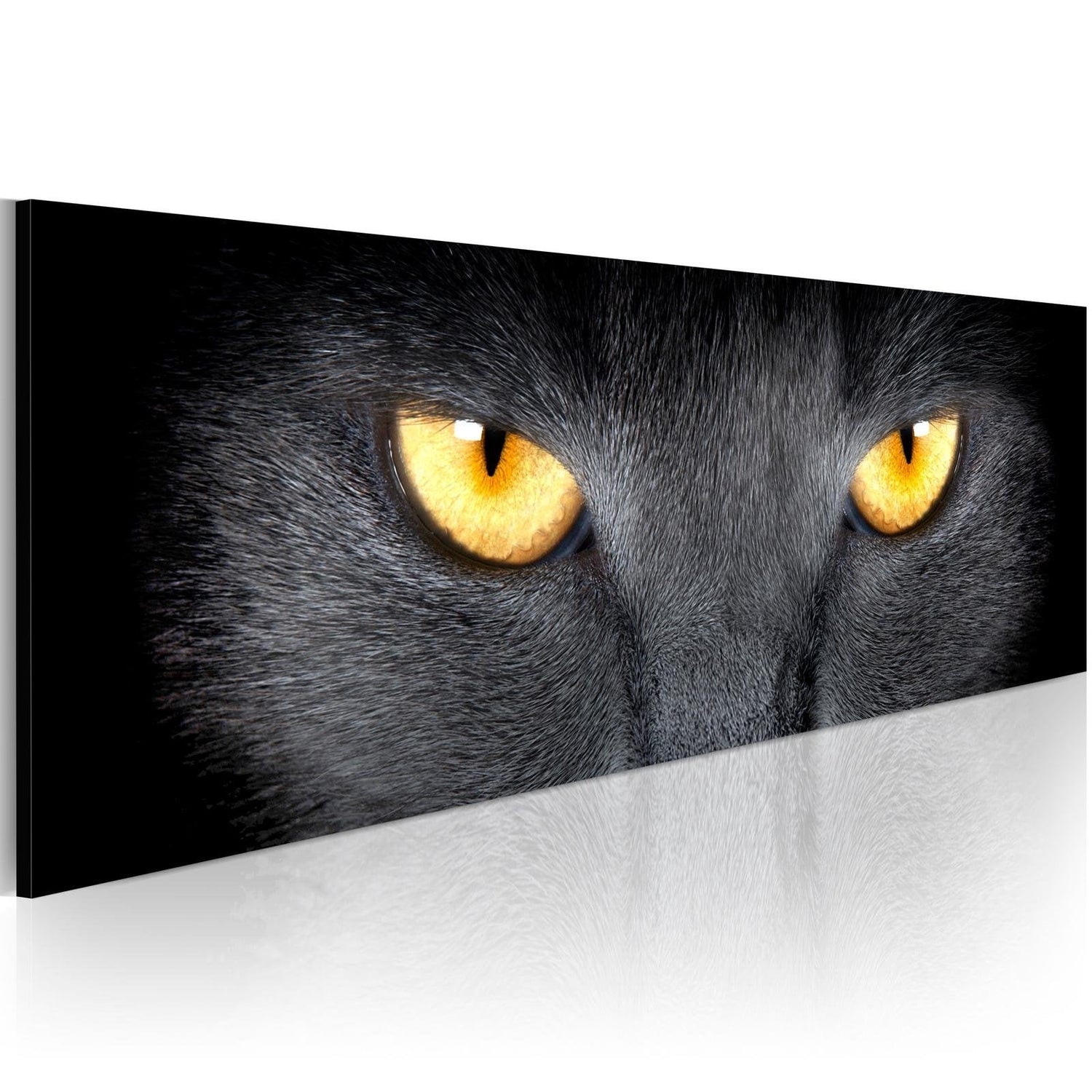 Stretched Canvas Animal Art - Look Into My Eyes...-Tiptophomedecor