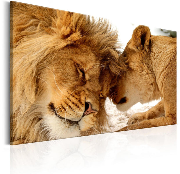 Stretched Canvas Animal Art - Love'S Secret-Tiptophomedecor