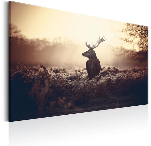 Stretched Canvas Animal Art - Lurking Deer-Tiptophomedecor