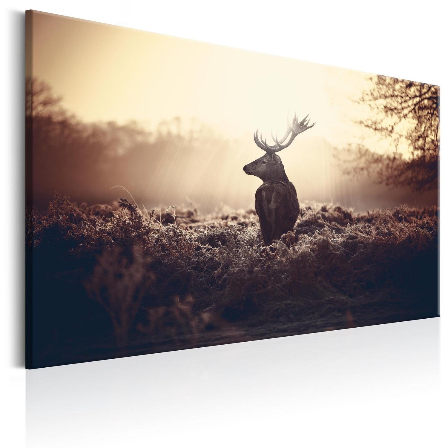 Stretched Canvas Animal Art - Lurking Deer-Tiptophomedecor