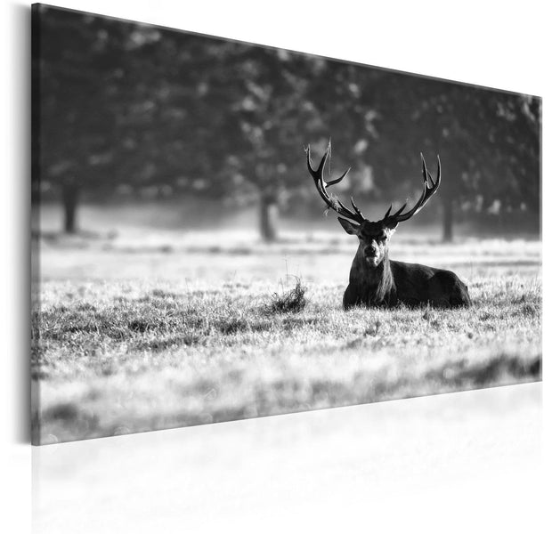 Stretched Canvas Animal Art - Lying Deer-Tiptophomedecor