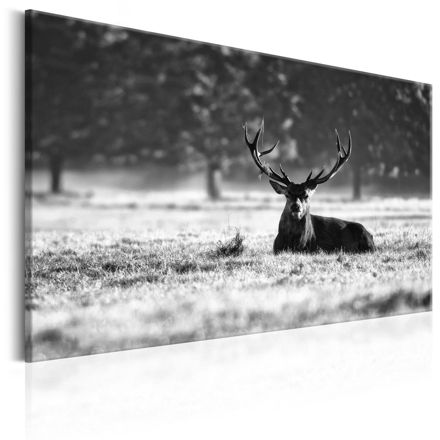 Stretched Canvas Animal Art - Lying Deer-Tiptophomedecor