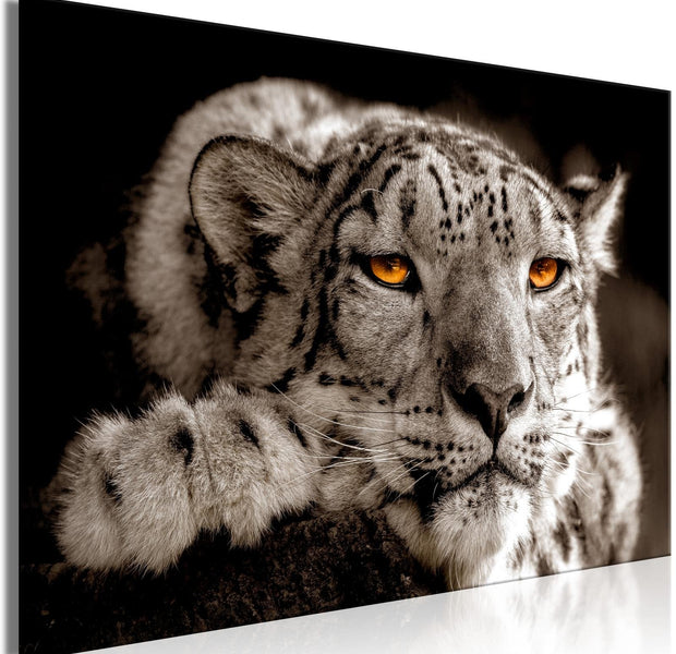 Stretched Canvas Animal Art - Magic Eyes Wide-Tiptophomedecor