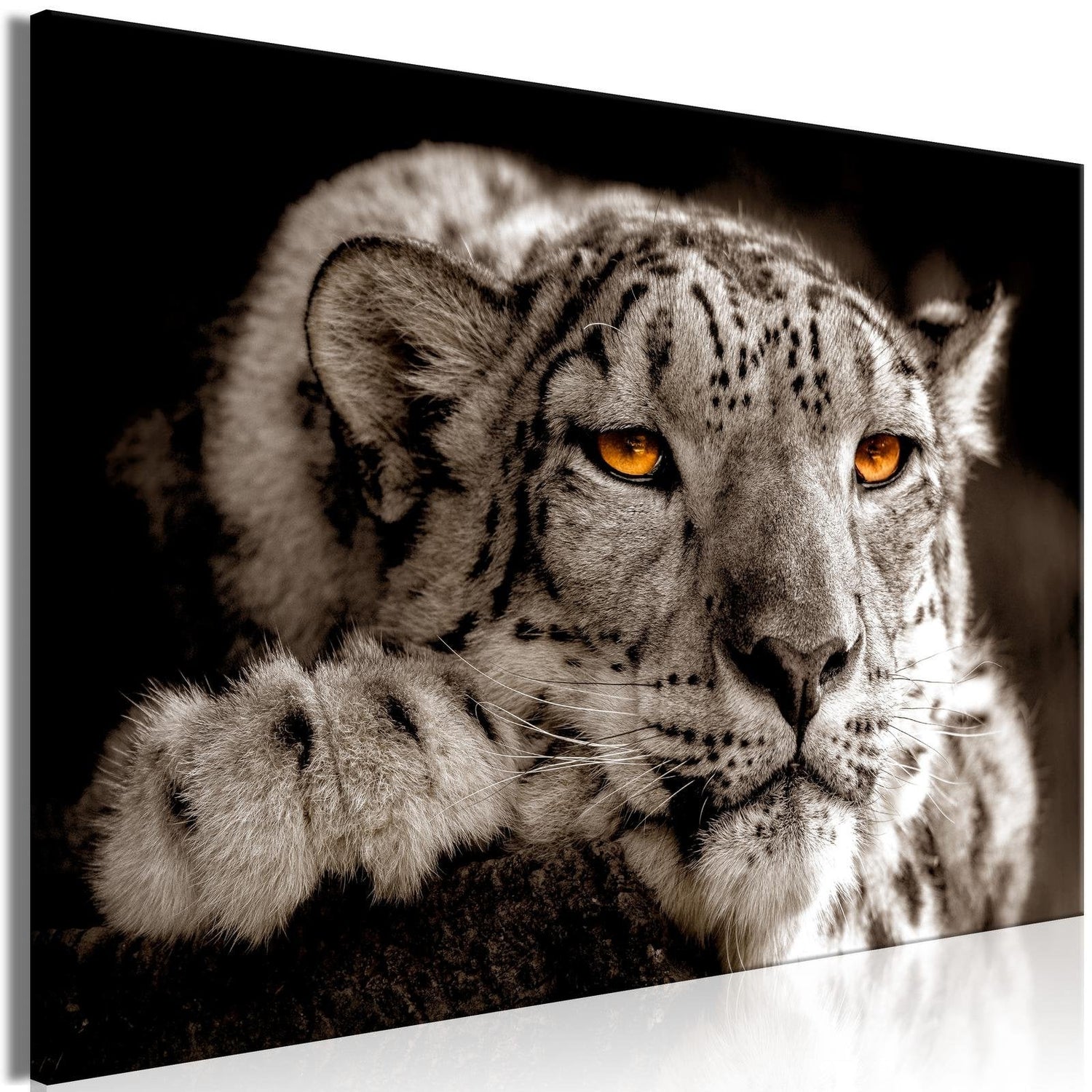 Stretched Canvas Animal Art - Magic Eyes Wide-Tiptophomedecor