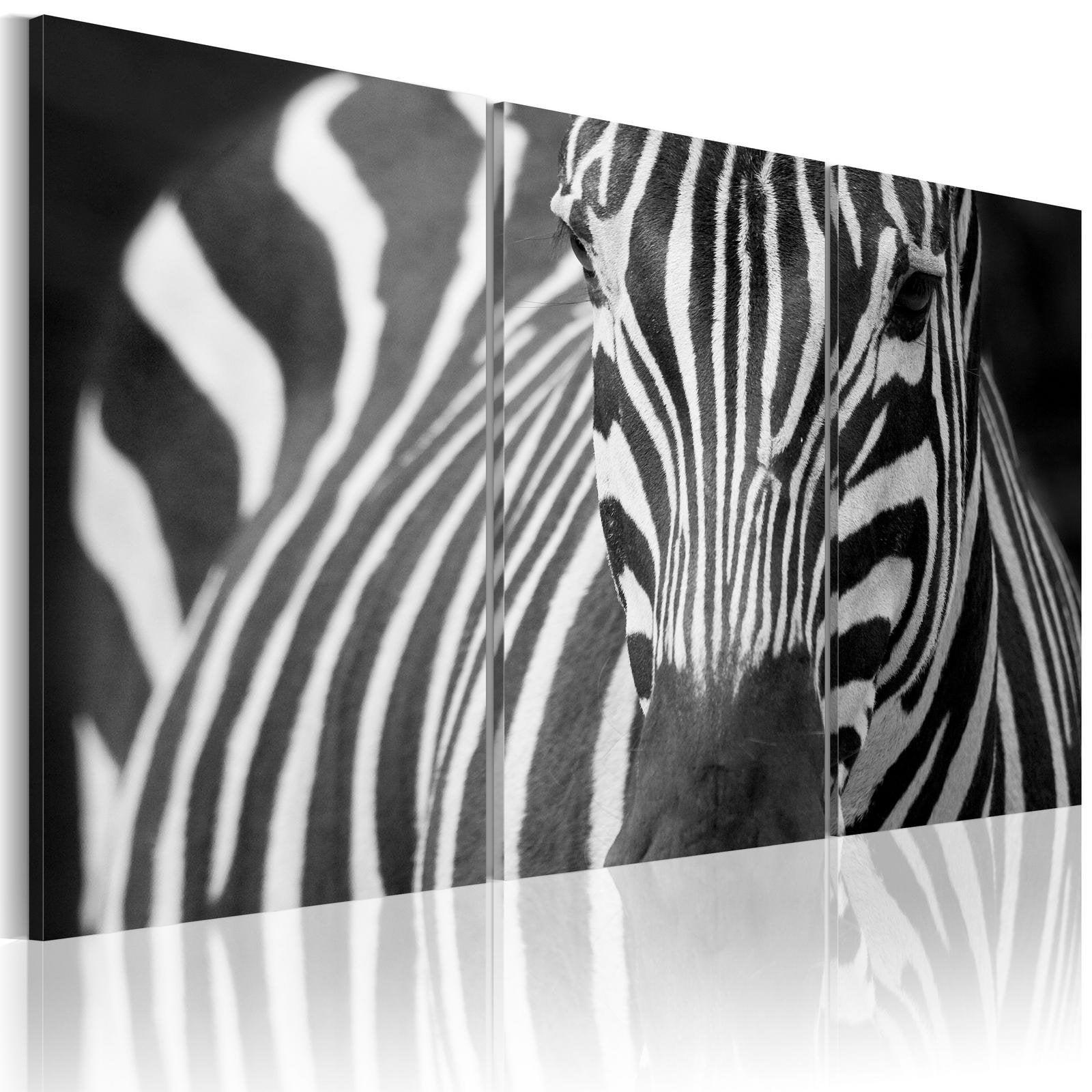 Stretched Canvas Animal Art - Mrs. Zebra-Tiptophomedecor