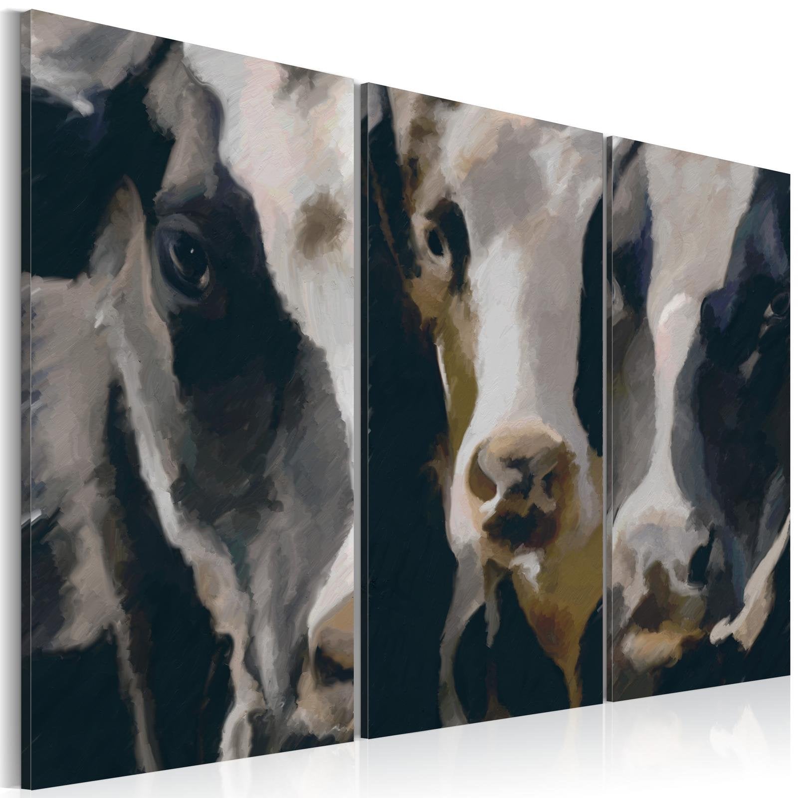 Stretched Canvas Animal Art - Piebald Cow-Tiptophomedecor
