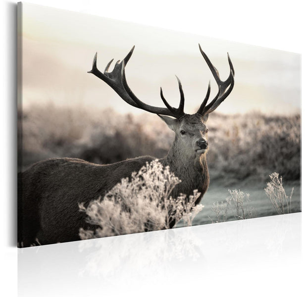 Stretched Canvas Animal Art - Powerful Horns-Tiptophomedecor