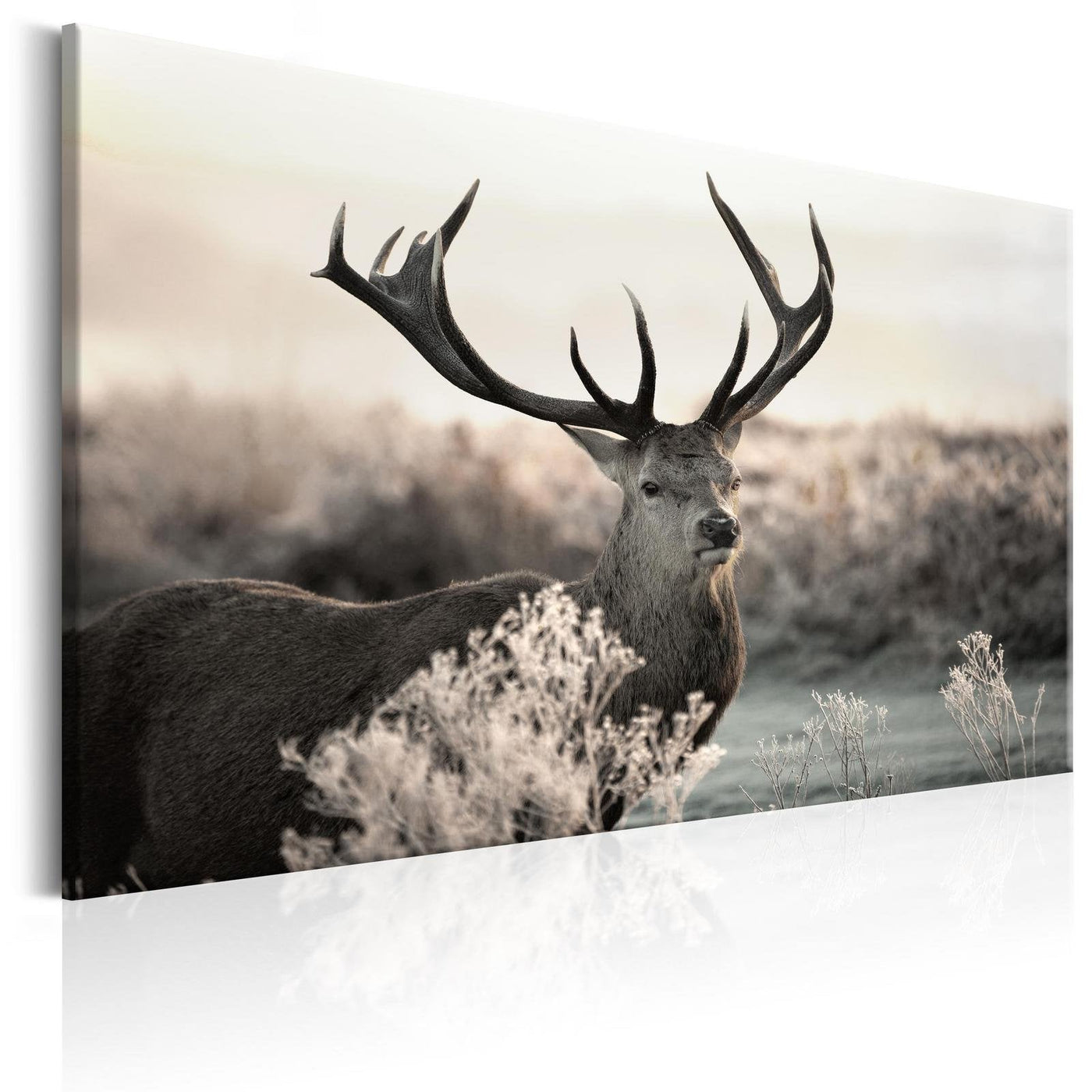Stretched Canvas Animal Art - Powerful Horns-Tiptophomedecor