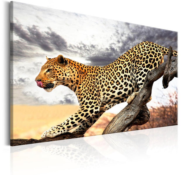 Stretched Canvas Animal Art - Predatory Stare-Tiptophomedecor