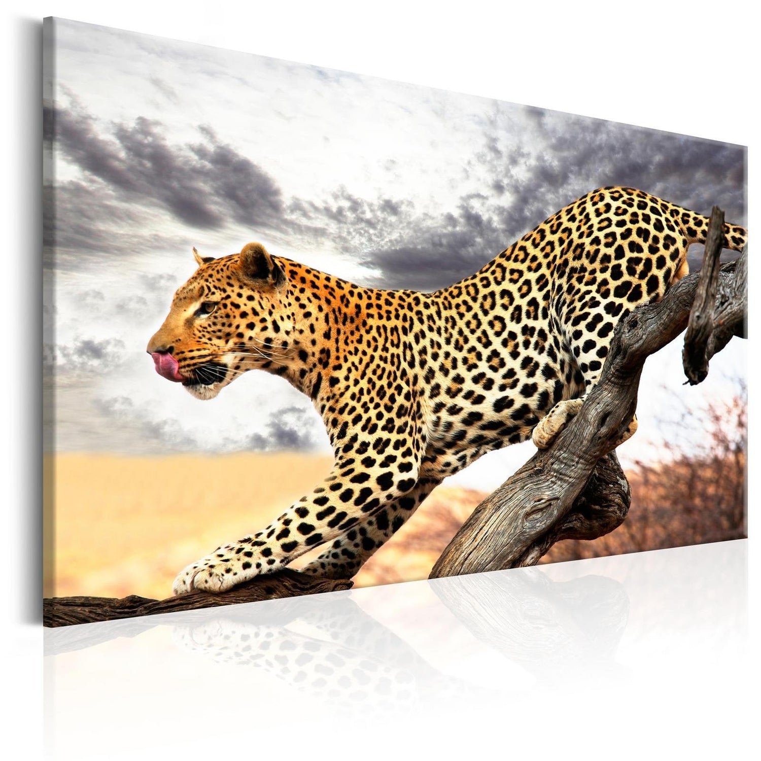 Stretched Canvas Animal Art - Predatory Stare-Tiptophomedecor