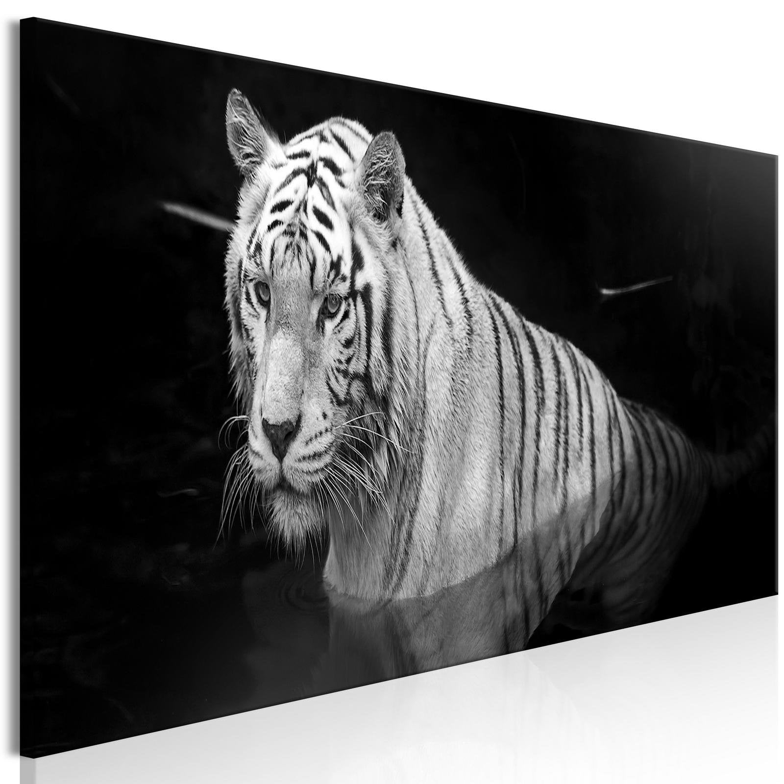 Stretched Canvas Animal Art - Shining Tiger Black And White Narrow-Tiptophomedecor