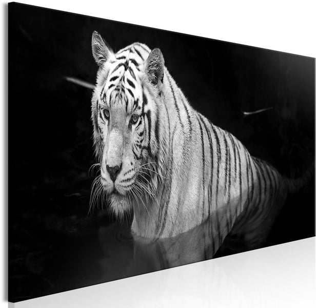 Stretched Canvas Animal Art - Shining Tiger Black And White Narrow-Tiptophomedecor