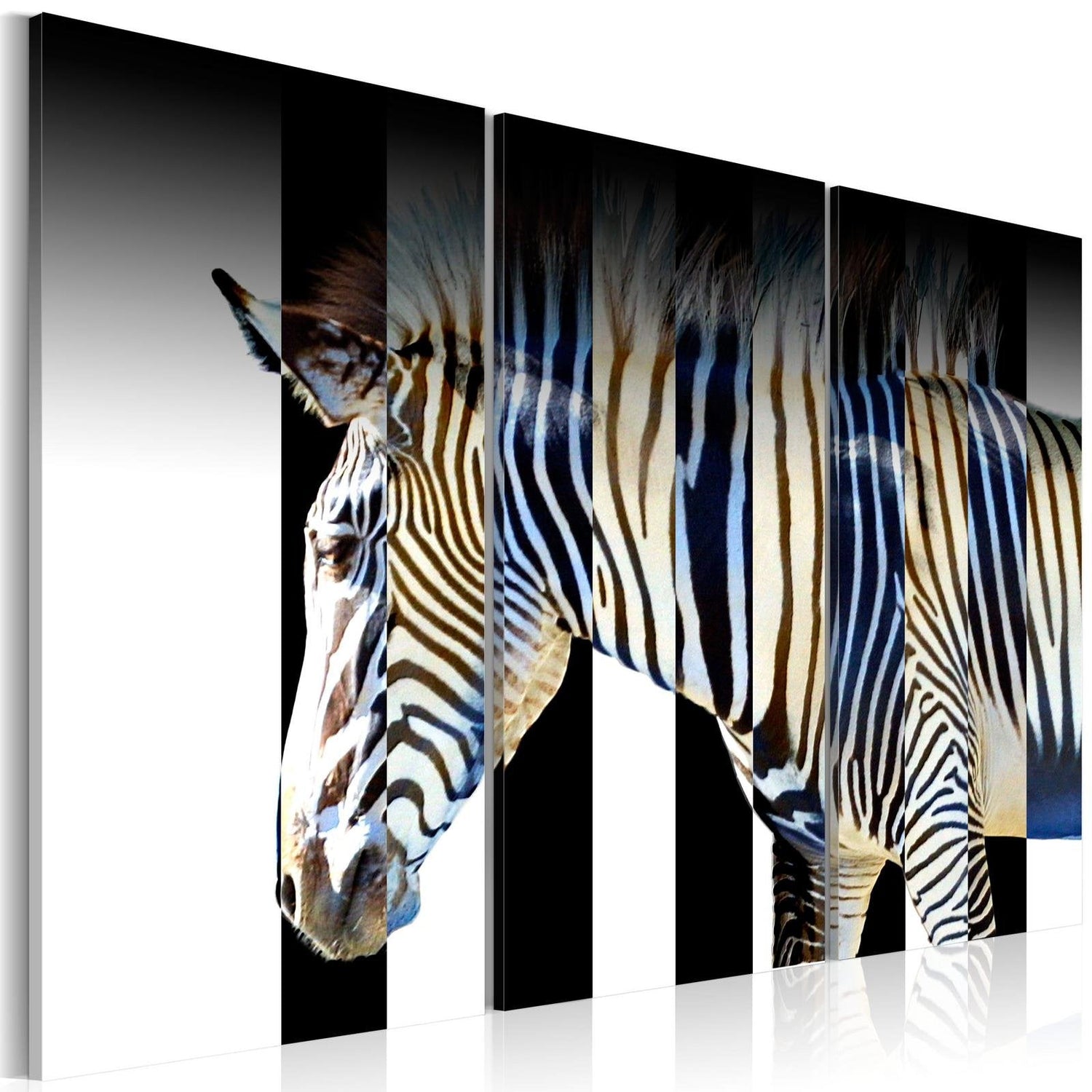 Stretched Canvas Animal Art - Stripes-Tiptophomedecor