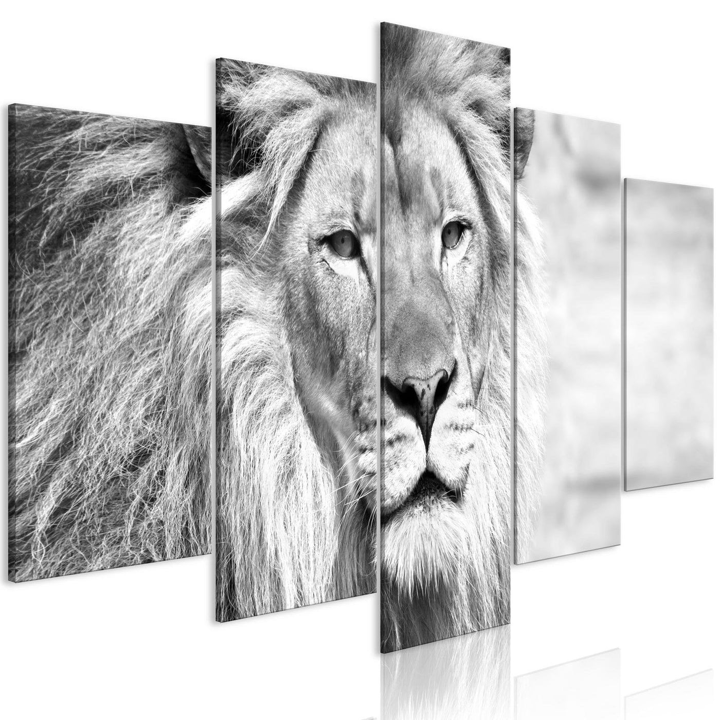Stretched Canvas Animal Art - The King Of Beasts Black And White 5 Piece-Tiptophomedecor